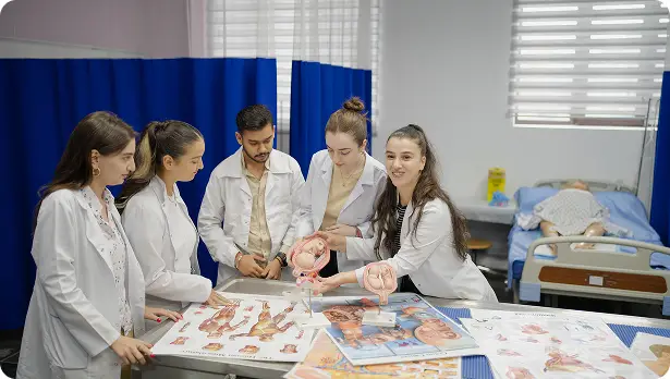 Medical students in white coats studying anatomy at BAU International University Batumi